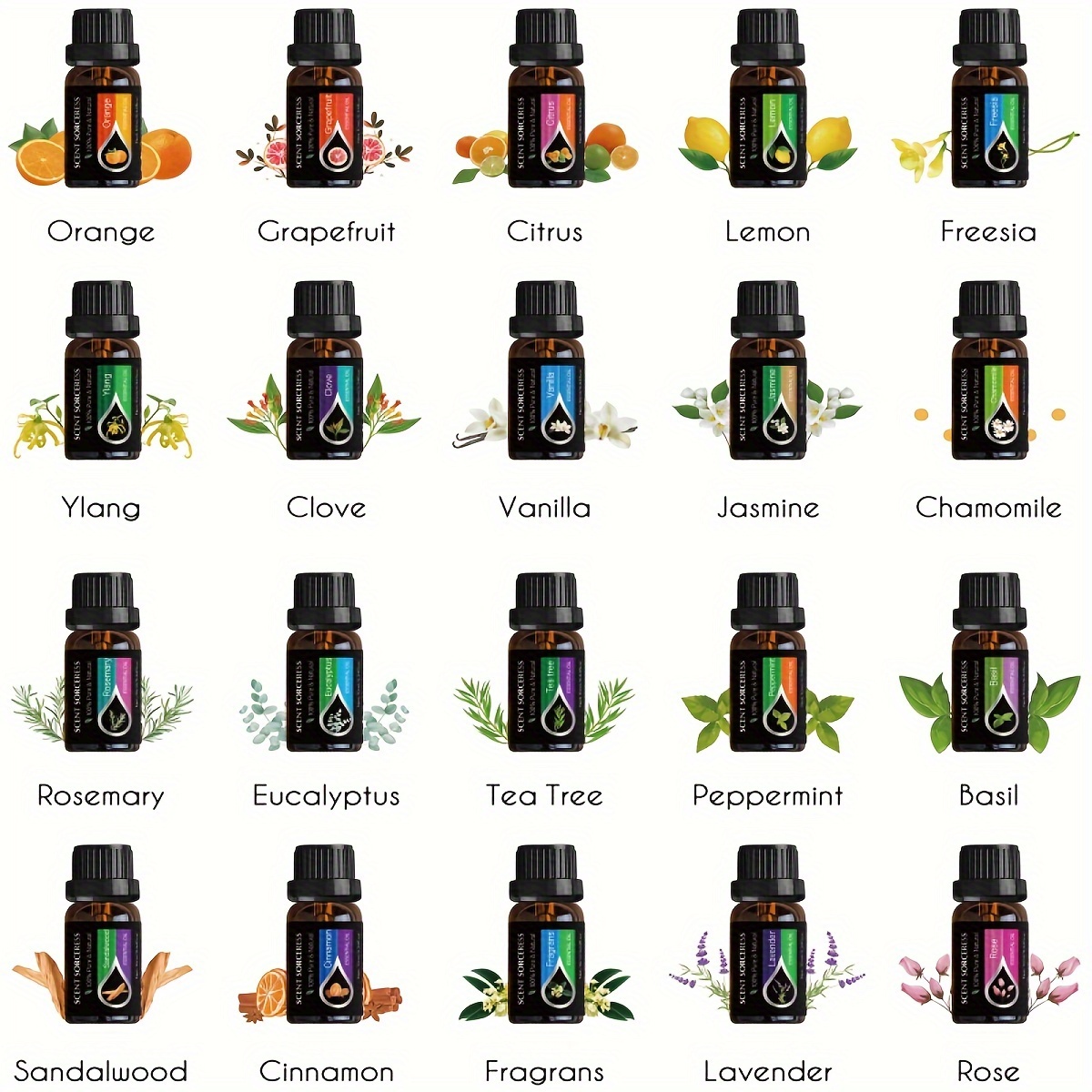 ชุดน้ำมันหอมระเหย 20 ชิ้น/ชุด  - Perfume Fragrance Essence บทวิจารณ์และราคา