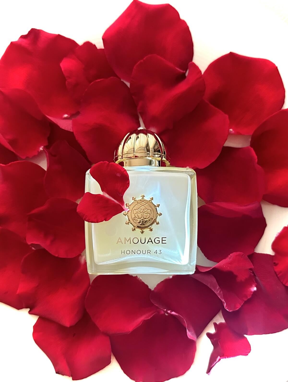 Amouage Honour 43 Woman Extrai - Perfume Fragrance Families บทวิจารณ์และราคา